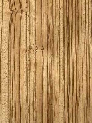 Zebrano veneer